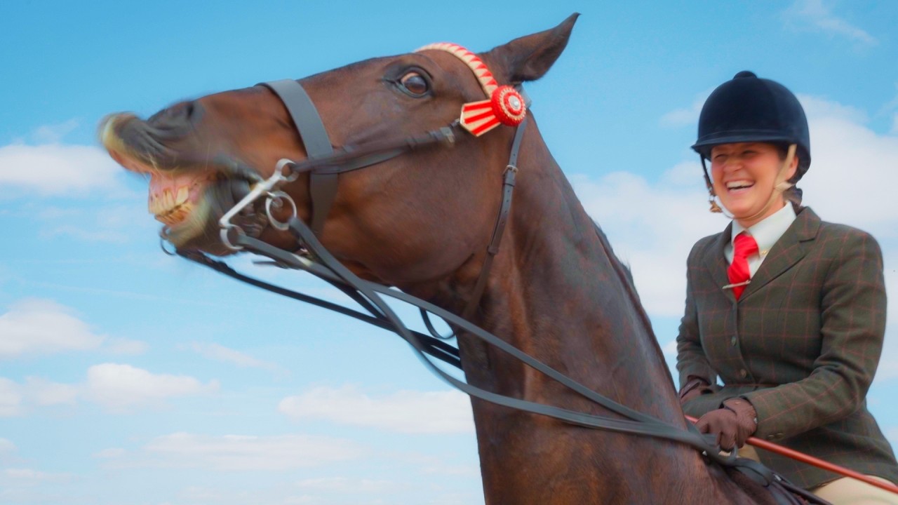 England's Biggest Horse Show